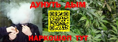 apvp Кандалакша