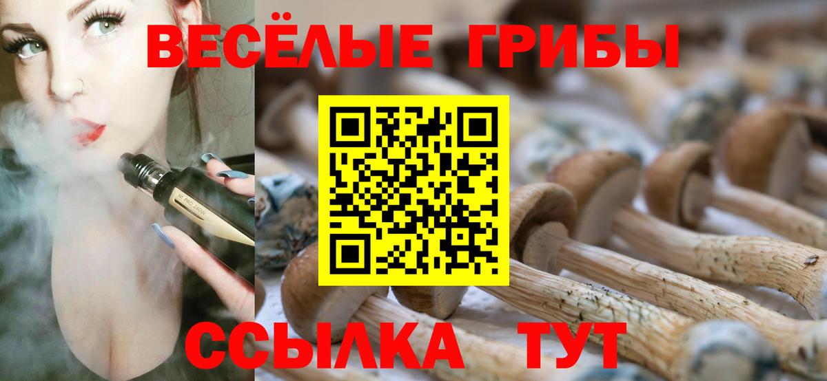 Псилоцибиновые грибы Psilocybine cubensis Лосино-Петровский